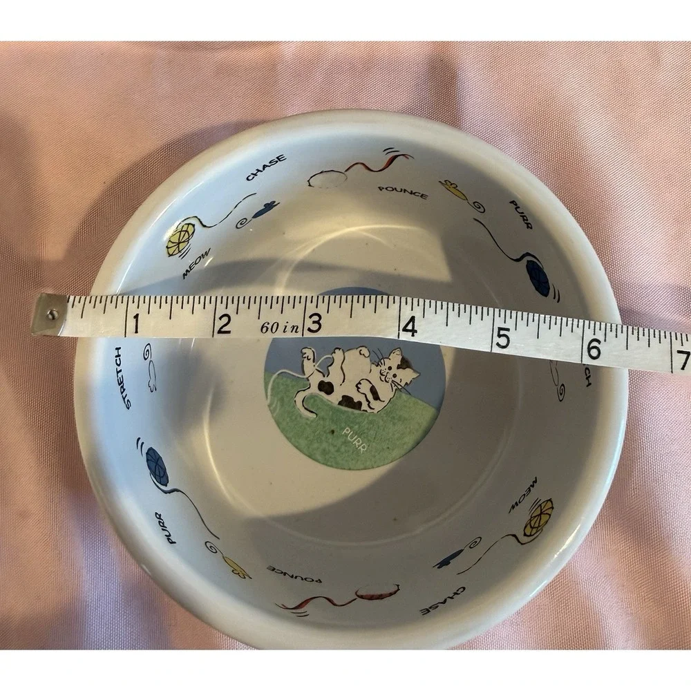 Cutie Cat Pet Water Food Bowl by Riviera Van Beers Signature Stoneware Rainbow